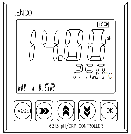 6313