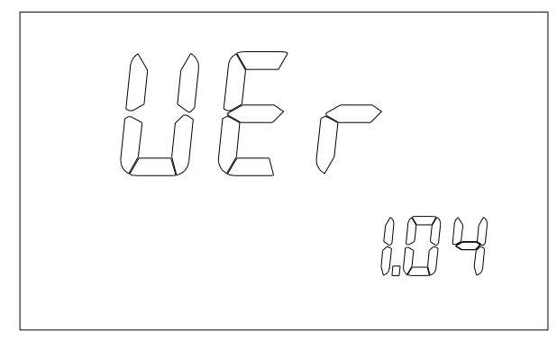 6313