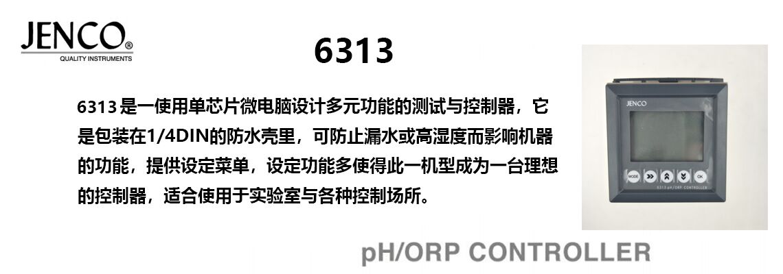 6313F